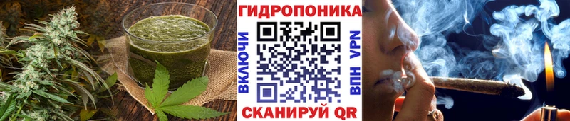 цена наркотик  shop какой сайт  Еда ТГК марихуана  Камешково 